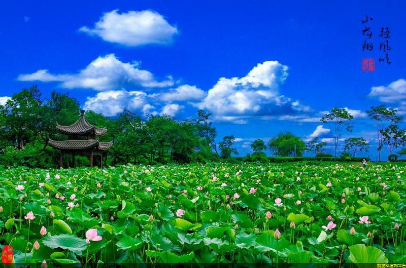 办公室集装箱底板图片(集装箱办公室房内部装修图片)